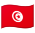安卓系统里的旗帜：突尼斯emoji表情