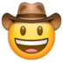 WhatsApp里的牛仔帽脸emoji表情